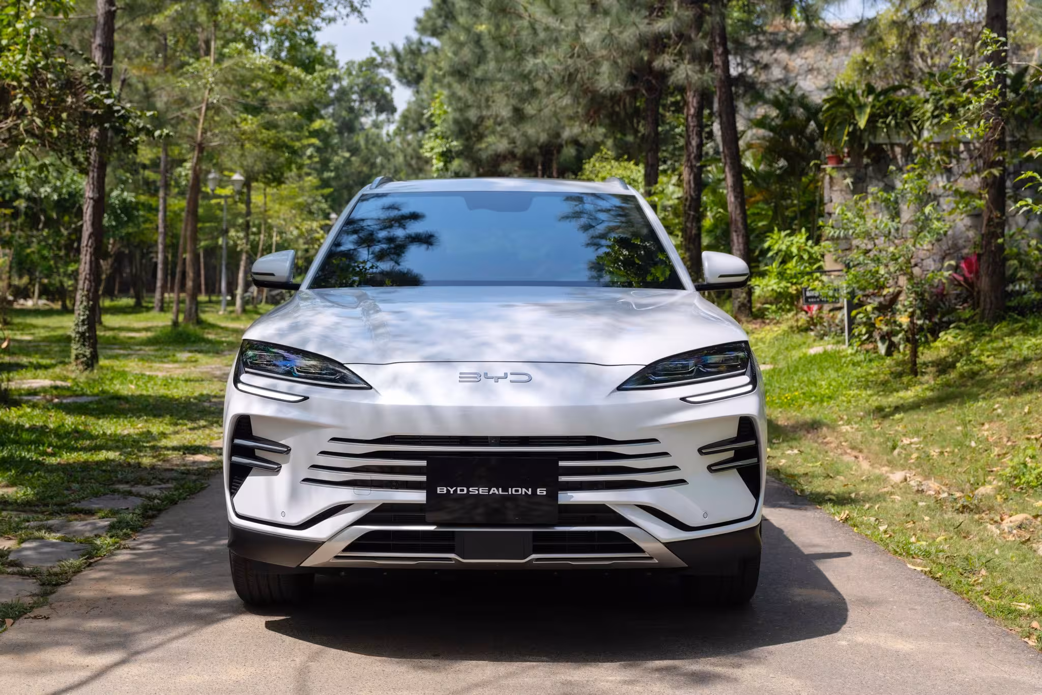 BYD Sealion 6 Dynamic